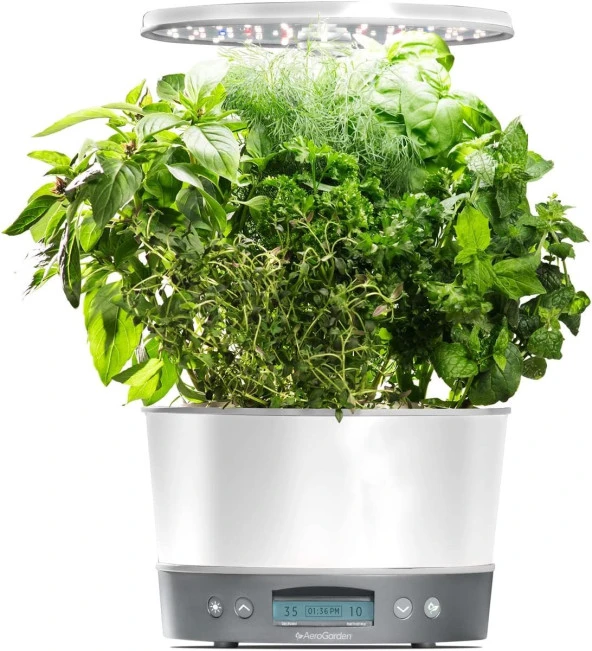 AeroGarden Harvest Elite 360 Kapalı Bahçe Topraksız Sistemi