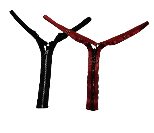 ASM1253 Kadın 2 Li Renkli  Fermuarlı Çabuçak String Tanga - 6