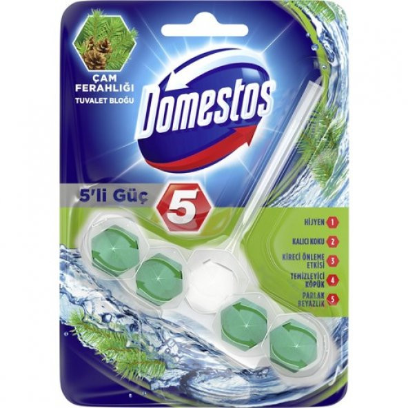 Domestos Wc Blok 5Li Güç Çam Ferahlıgı 50GR 6863 - 2