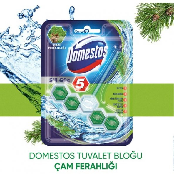 Domestos Wc Blok 5Li Güç Çam Ferahlıgı 50GR 6863 - 3