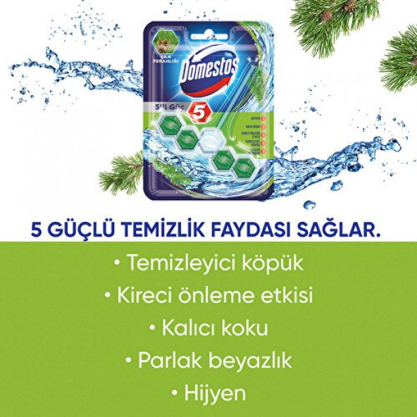 Domestos Wc Blok 5Li Güç Çam Ferahlıgı 50GR 6863 - 11