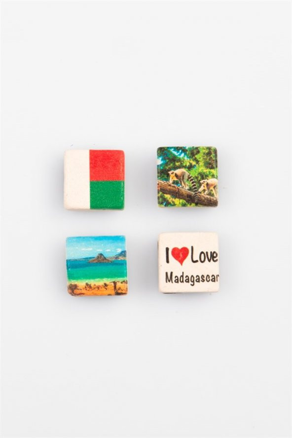Madagaskar Temalı Dörtlü Taş Magnet - Resim 2