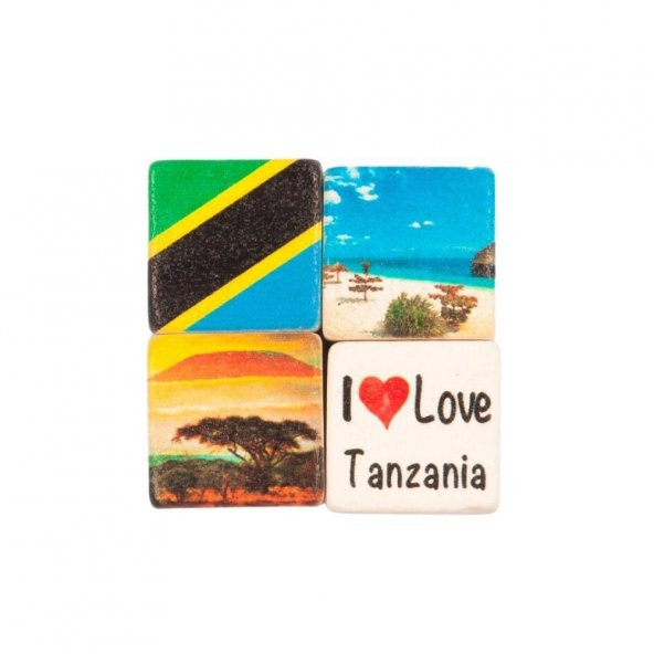 Tanzanya Temalı Dörtlü Taş Magnet ürün görseli