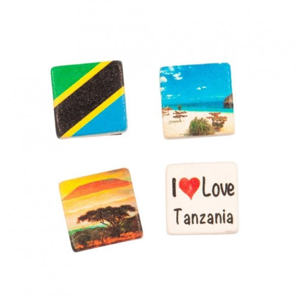 Tanzanya Temalı Dörtlü Taş Magnet - Resim 2