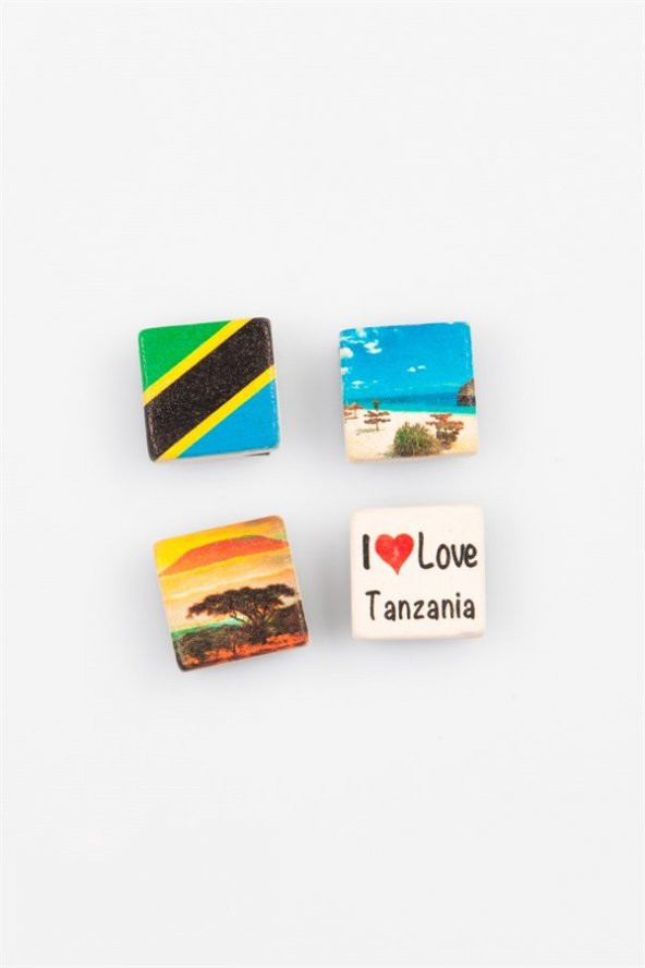 Tanzanya Temalı Dörtlü Taş Magnet - Resim 5