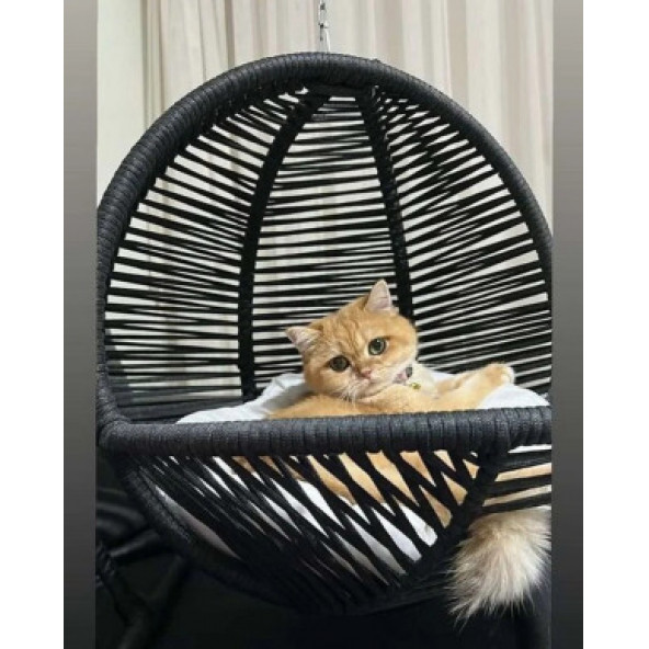 HOUSELAB Kedi Köpek Salıncağı & Yatağı & Hamak - 3