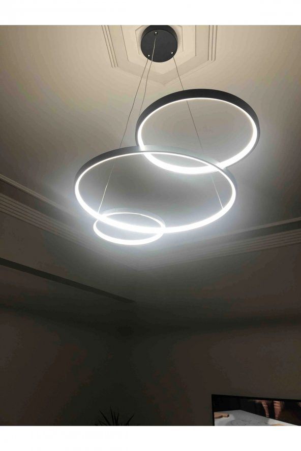 Olimpia / Sarkıt Avize / 90x50 cm / 3 Renk Işık / Antrasit Gövde - 2