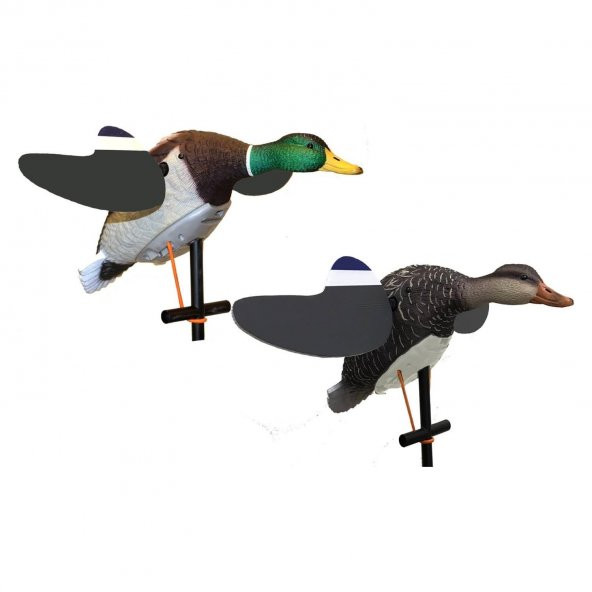 Luck Duck Lucky Pair Kanatlı Çift Ördek Mühre Seti