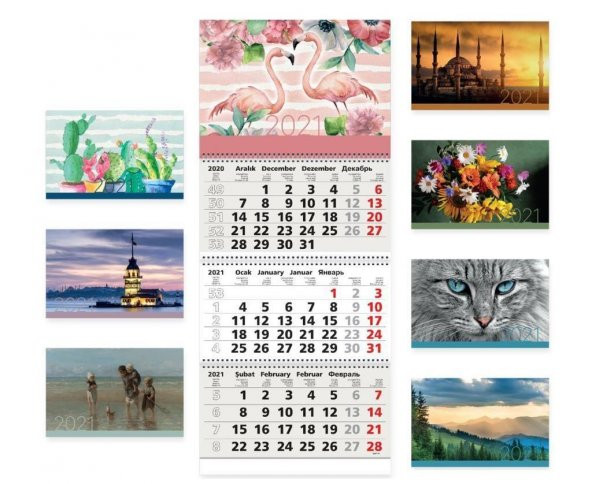 Gıpta Gemici Takvimi Mix Resimli 78x33 Cm 2024 Gemici Takvim Karışık Model 1 Adet