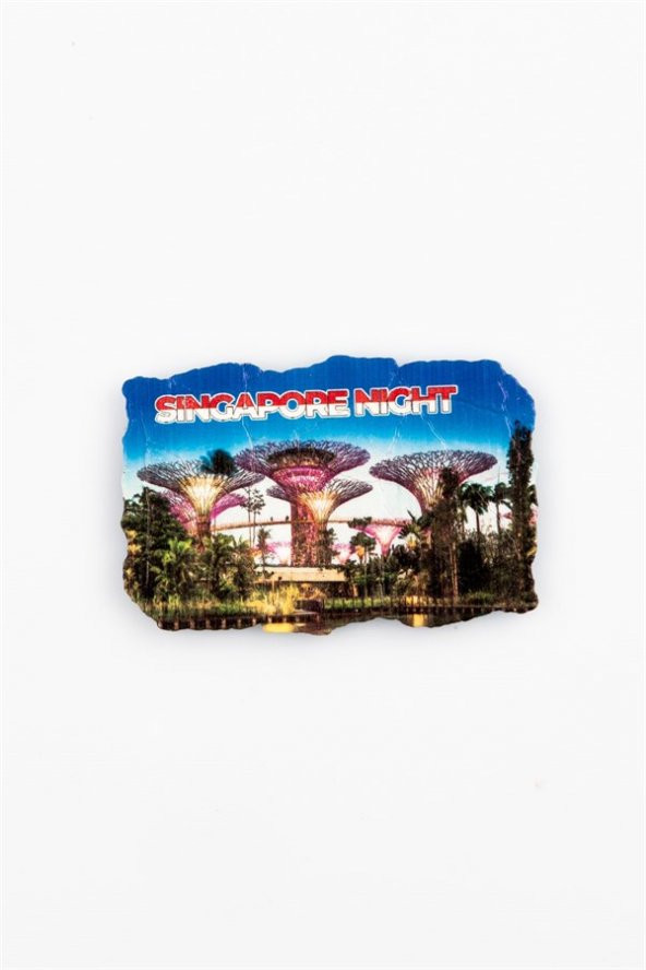Singapur Temalı Fresco Magnet - Resim 2