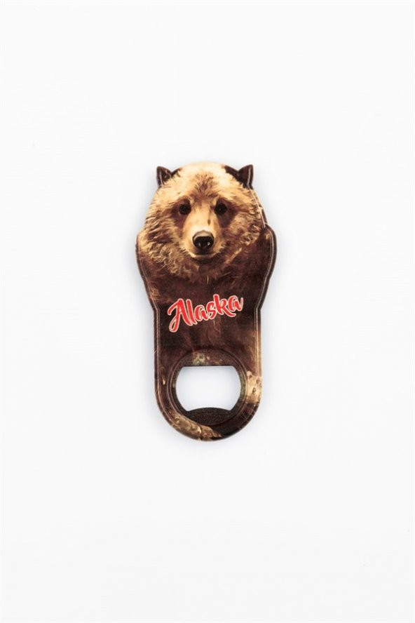 ABD Alaska Temalı Magnet Ayı Kapak Açacak - Resim 3