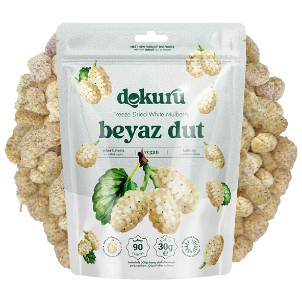 Freeze Dried Dut Meyve Cipsi 30gr