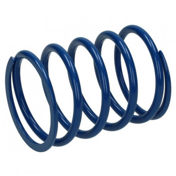 Polini SPRINGS FOR KYMCO XCITING 243.083 ürün görseli 1