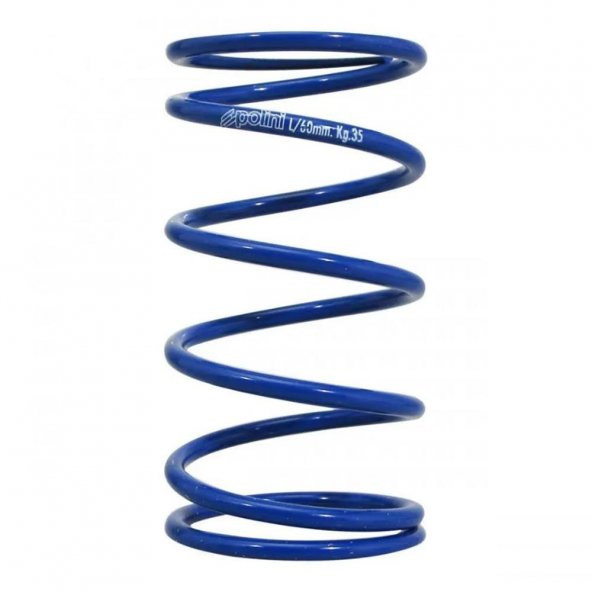Polini SPRING FOR HONDA SH 125/1 243.084 ürün görseli 1