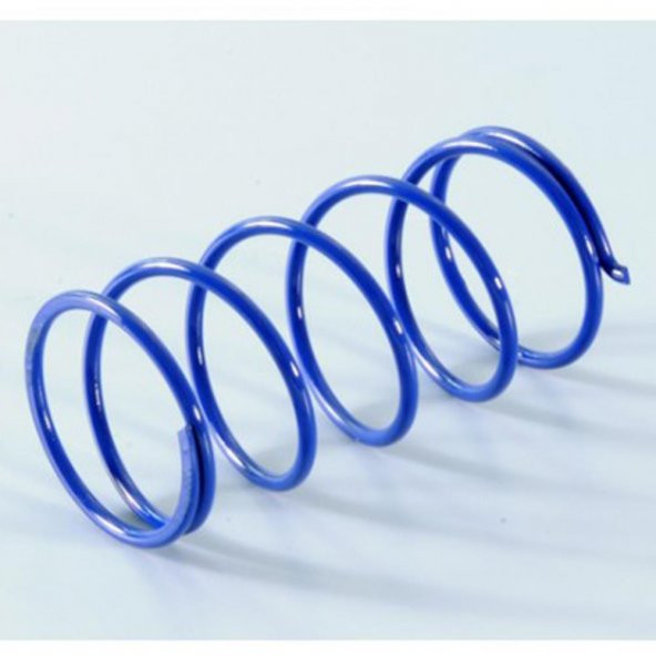 Polini SPRING PIAGGIO VESPA 125 243.086