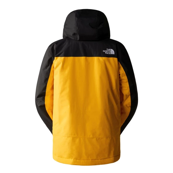 The North Face M FREEDOM INSULATED Erkek Ceket NF0A82VUZU31 - 2