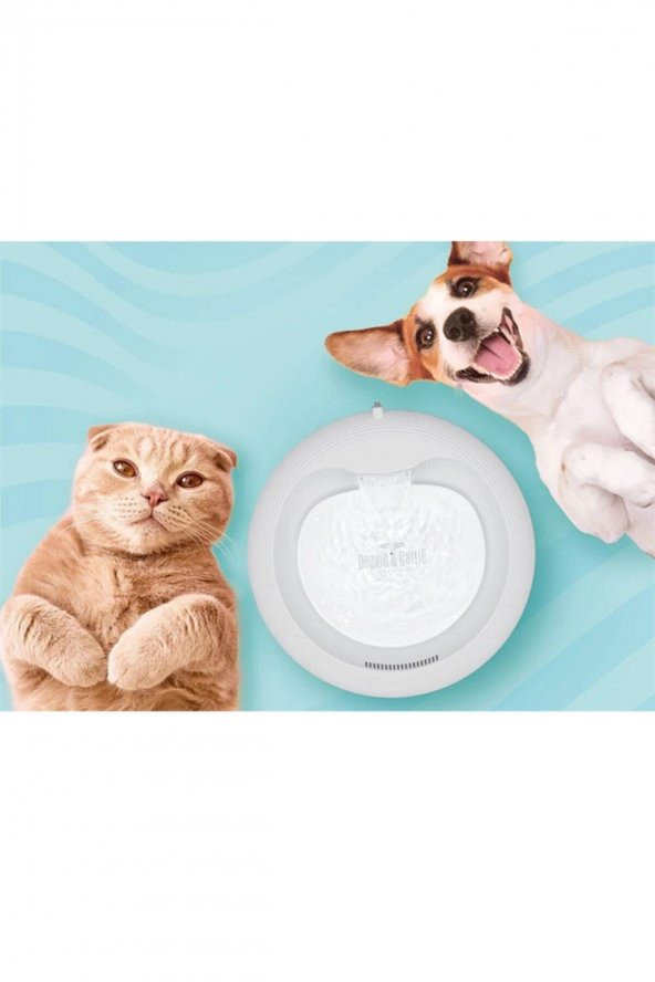 Kedi Köpek Arıtmalı Su Pınarı Klasik Model Nane