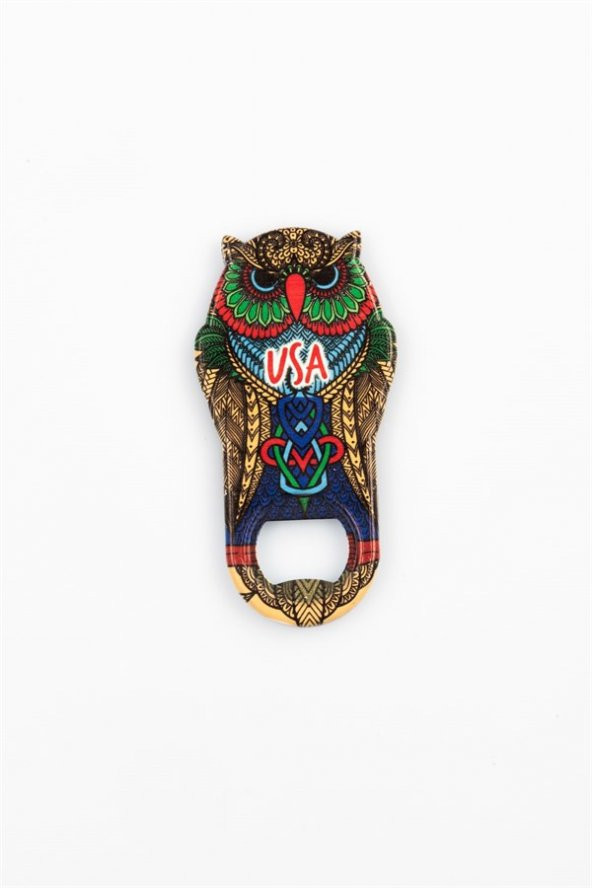 ABD Temalı Baykuş Magnet Kapak Açacak - Resim 3