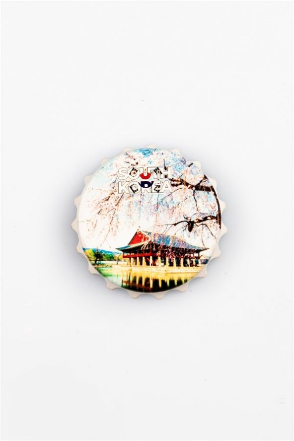 Güney Kore Temalı Magnet Kapak Açacak - 3
