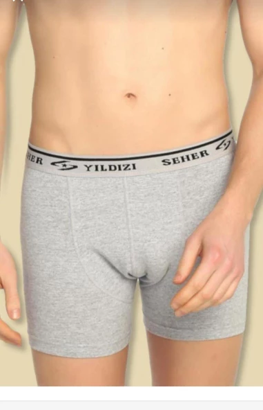 SEHER YILDIZI 0060 ERKEK LİKRALI BOXER 6 ADET