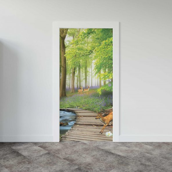 Kapı Giydirme Kapı Sticker Folyosu Doğal Orman