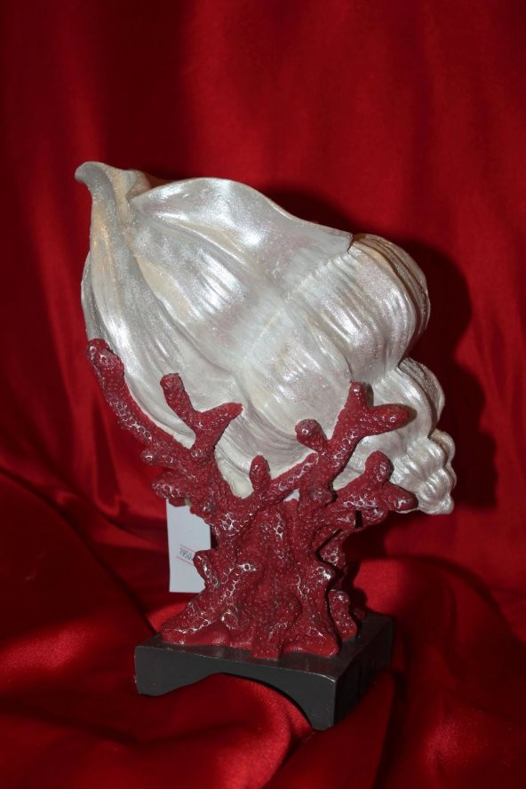 Biblo İstiridye Şhel Deniz Kabuğu İnci Elişi Hand Made Shel - Resim 3