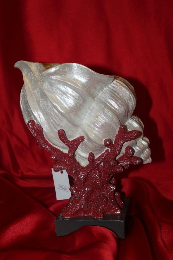 Biblo İstiridye Şhel Deniz Kabuğu İnci Elişi Hand Made Shel - Resim 4