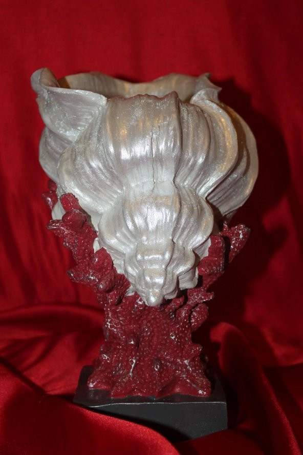 Biblo İstiridye Şhel Deniz Kabuğu İnci Elişi Hand Made Shel - Resim 5