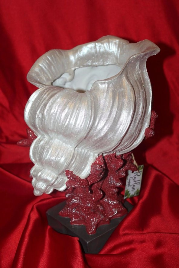 Biblo İstiridye Şhel Deniz Kabuğu İnci Elişi Hand Made Shel - Resim 6