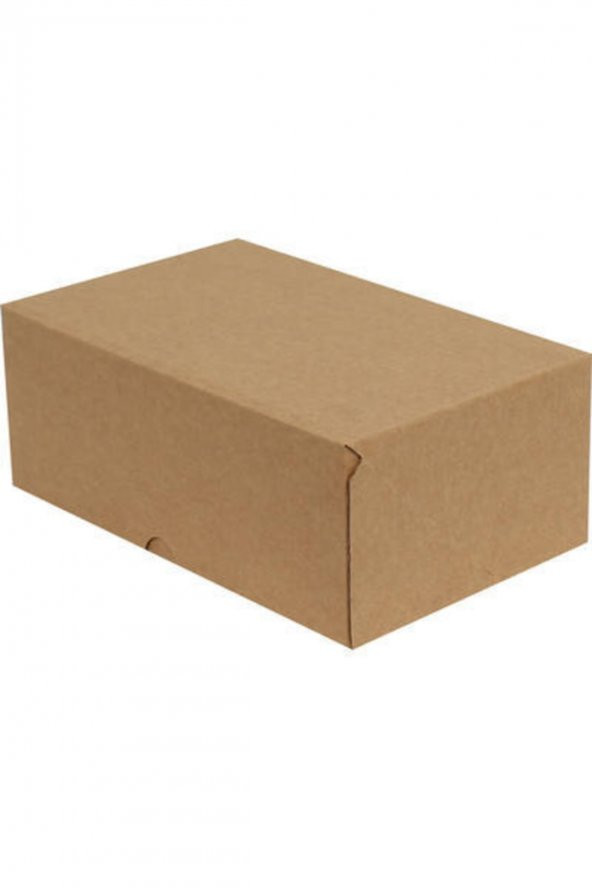 Kraft Kilitli Kargo Kutusu  Ebat 23,5x10x4,5 Cm (100 Adet) - 2