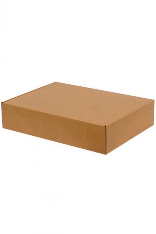 Kraft Kilitli Kargo Kutusu  Ebat 30x20x5 Cm (100 Adet) - 2