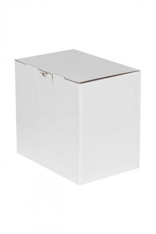 Beyaz Kilitli Kargo Kutusu (testliner)  Ebat 22x15x20 Cm (100 Adet) - 2
