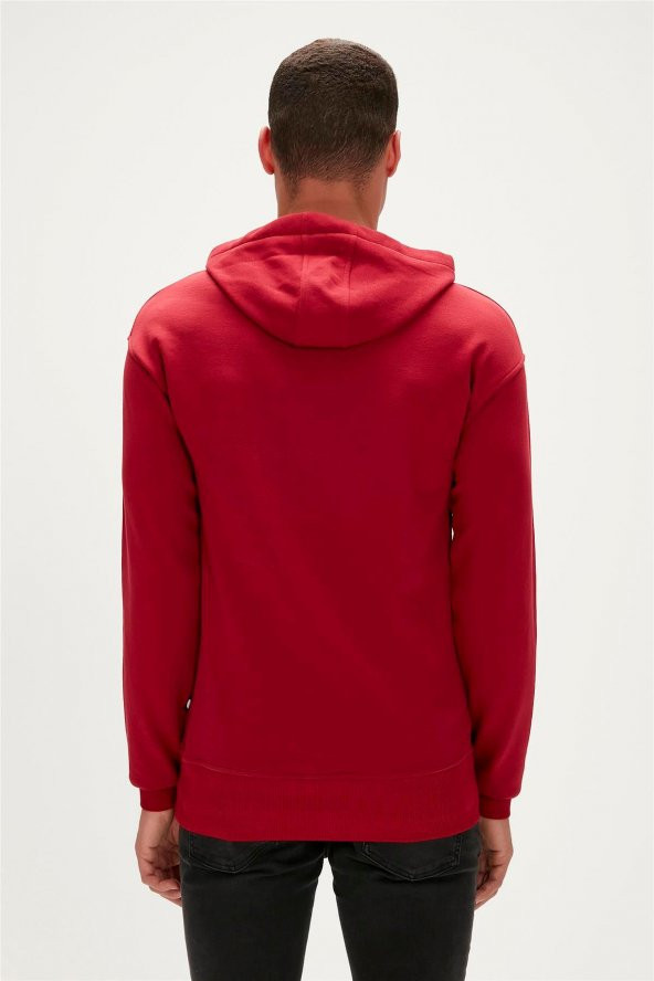 BAD BEAR ROYALTY HOODIE ERKEK SWEATHİRT - 12