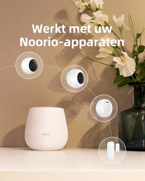 Noorio Alarm Sistemi - Kameralı Ev Güvenliği - 4
