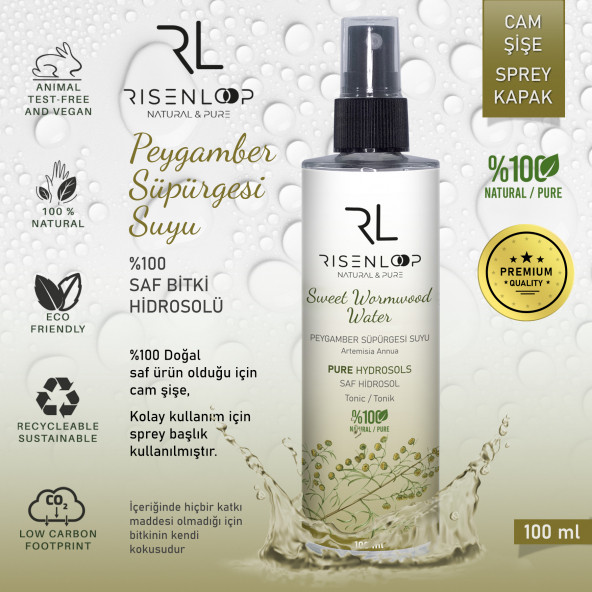 RisenLoop Peygamber Süpürgesi Suyu Saf Doğal Hidrosol Tonik Cam Şişe Artemisia Annua 1.Distilasyon 100ml