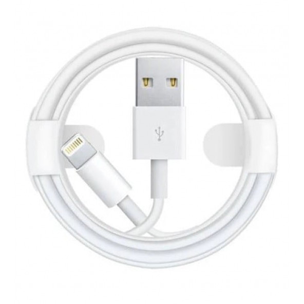 Apple Iphone Orjinal Şarj Aleti Kablosu 1m Lightning Usb Kablosu MD818ZM/A - 4