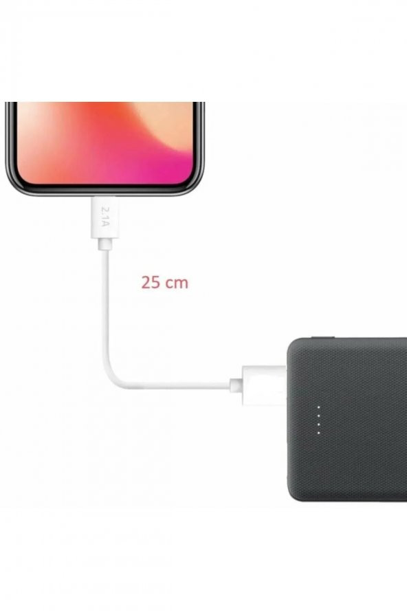Micro Usb Powerbank Hızlı Şarj Ve Data Kablosu - 25 Cm - 2