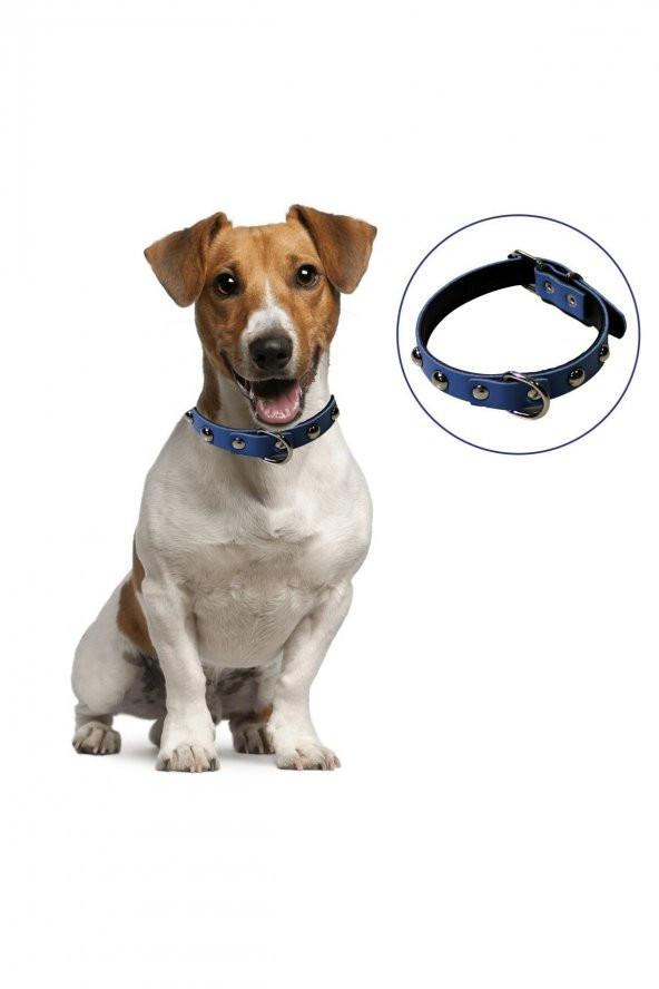 Yumuşak Dokulu Deri Köpek Gezdirme Boyun Tasması (large)
