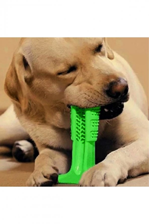 Köpek Diş Temizleyici Ve Kaşıyıcı Sağlıklı Küçük Boy Oyuncak