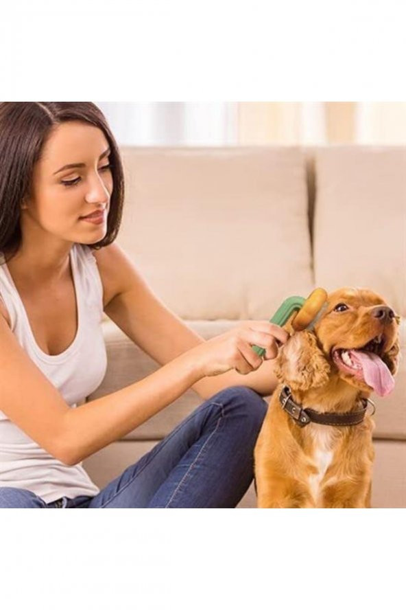 Plastik Yeşil Evcil Hayvan Bakım Pet Fırçası Çok Amaçlı Pet Fırçası Yeşil - 2
