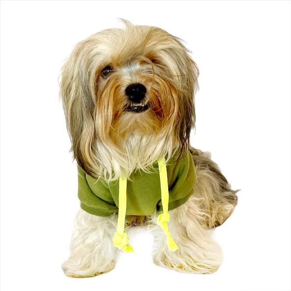Athletique Green Camouflage Kapşonlu Sweat Köpek Kazağı - 4