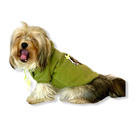 Athletique Green Camouflage Kapşonlu Sweat Köpek Kazağı - 5