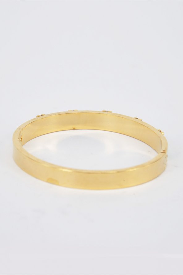 Altın & Yeşil Renk Çelik Kelepçe Paslanmaz 316L SU-863 - 3