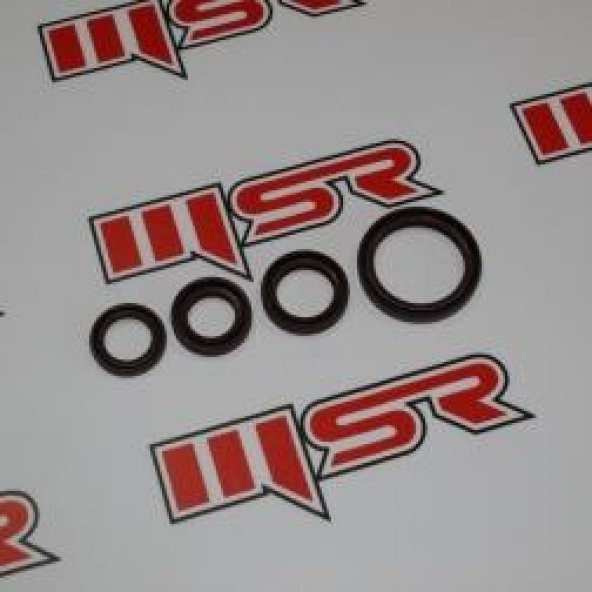 MONDİAL RESSİVO 250/RKS BLADE 250-VIESTE 249/VESPA 250 KEÇE TK