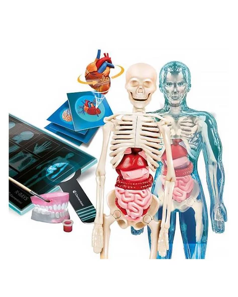 Clementoni Bilim ve Oyun Süper Anatomi 64474 - 3