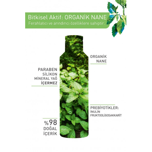 YVES ROCHER Karma Ve Yağlı Ciltler Için Pure Menthe Gözenek Sıkılaştırıcı Glikolik Asit - 3