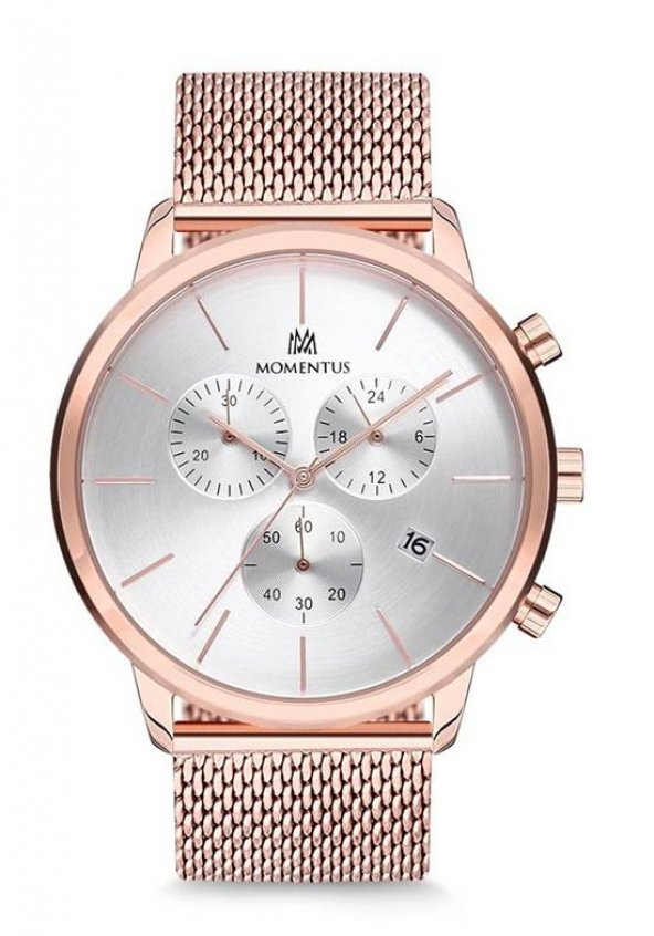 MOMENTUS CC121R-02SR ERKEK KOL SAATİ ürün görseli