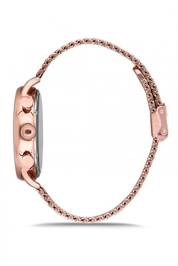 MOMENTUS CC112R-02SR ERKEK KOL SAATİ - Resim 2