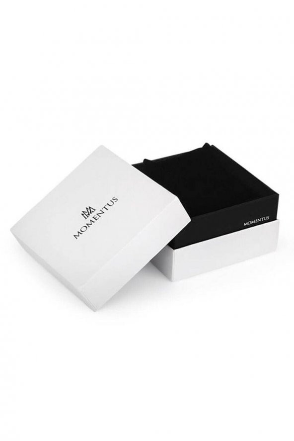 MOMENTUS CC112R-02SR ERKEK KOL SAATİ - Resim 4