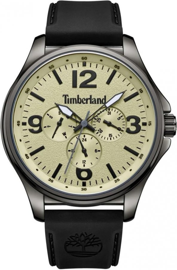 TIMBERLAND TDWGQ2183102 ERKEK KOL SAATİ